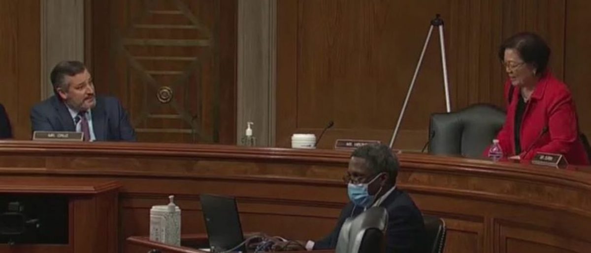 Watch: Ted Cruz Triggers Mazie Hirono So Badly That She Storms Out of the Hearing