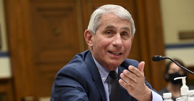 Fauci: There’s No Reason People Can’t Vote Safely in Person