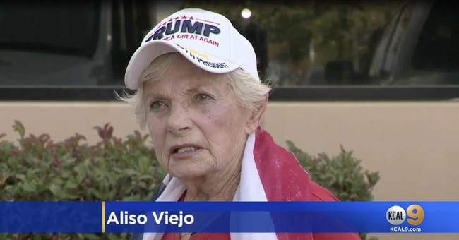 Man Attacks Group of Trump Supporters, Punches Elderly Woman in the Face