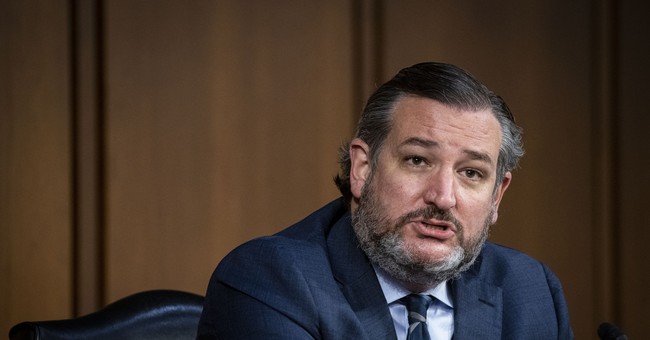 ‘Law Student’ Gets Schooled Big Time After Trying to Upstage Ted Cruz at Court Packing Presser