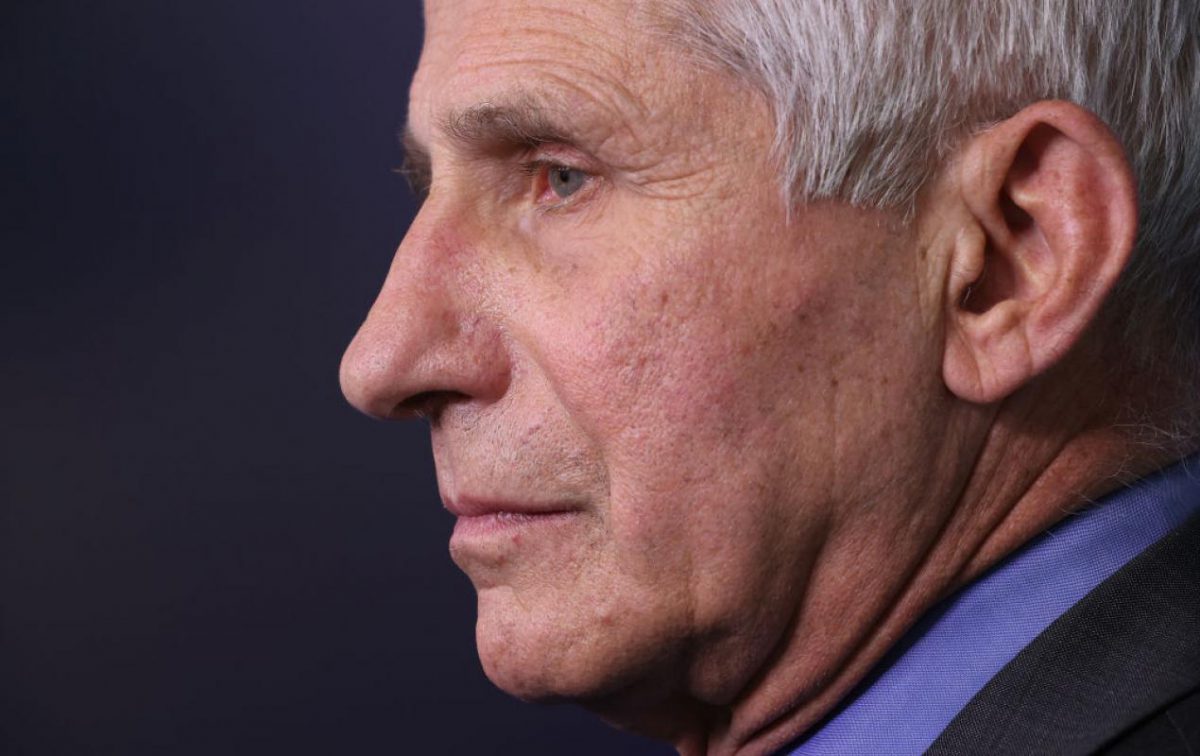 Fauci’s agency spent over $400k on experiments grafting aborted fetal scalps onto mice and rats