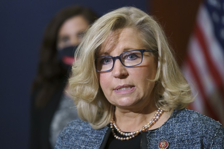 Liz Cheney Goes on Fox News, Loses Her Ever-Loving Mind