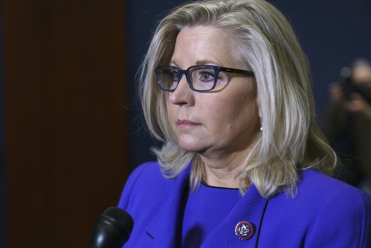 The Fauci Email Scandal Somehow Manages to Make Liz Cheney Look Even Worse