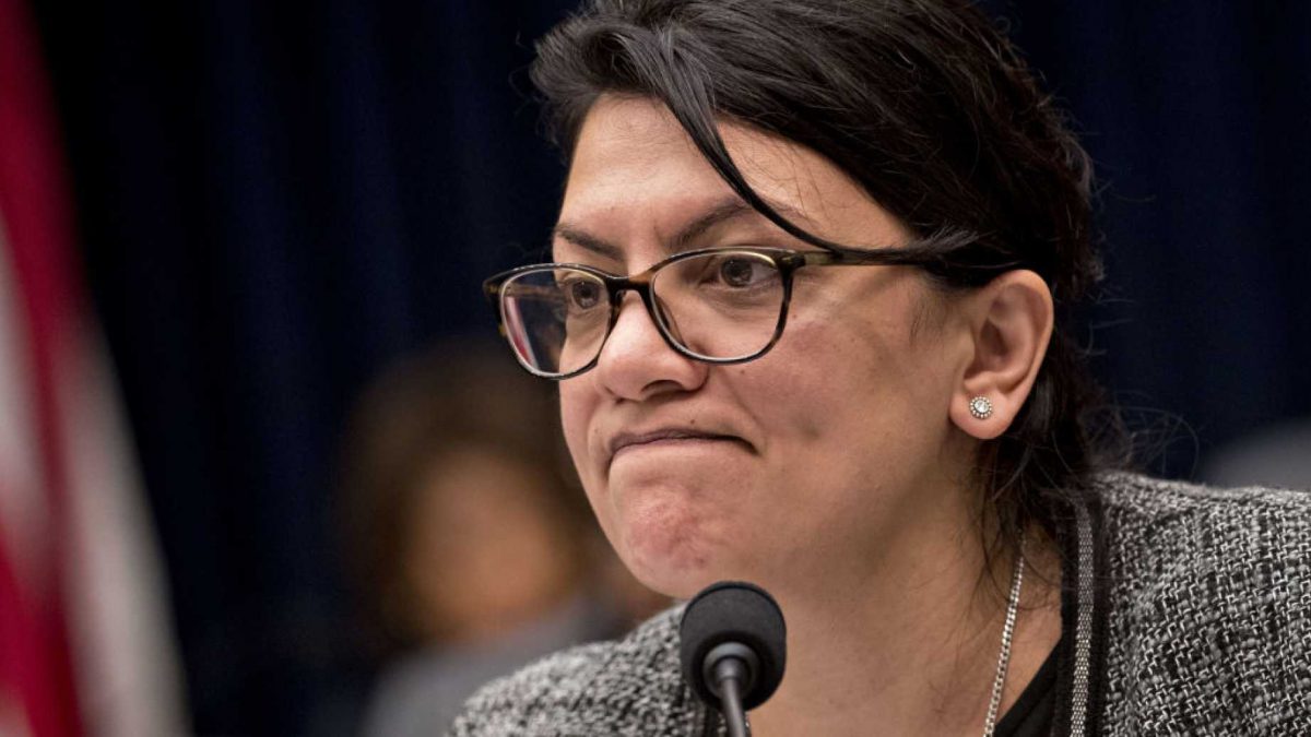 ‘Squad’ Dem Tlaib calls for defunding of ICE, CBP, DHS, claims they ‘terrorize’ migrants