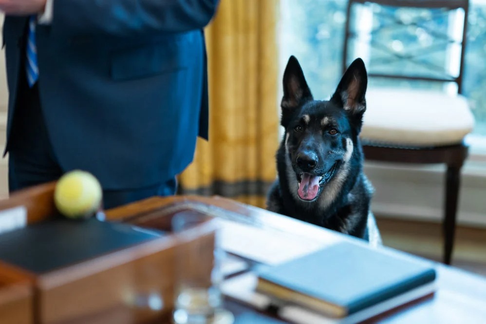 If Joe Biden’s Team Will Lie About His Dog Biting People, What Won’t They Lie About?