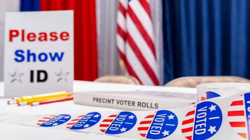 Early Georgia Primary Voting Sets Record Highs After Voter ID Law Signed, Despite Leftists Warning About ‘New Jim Crow’