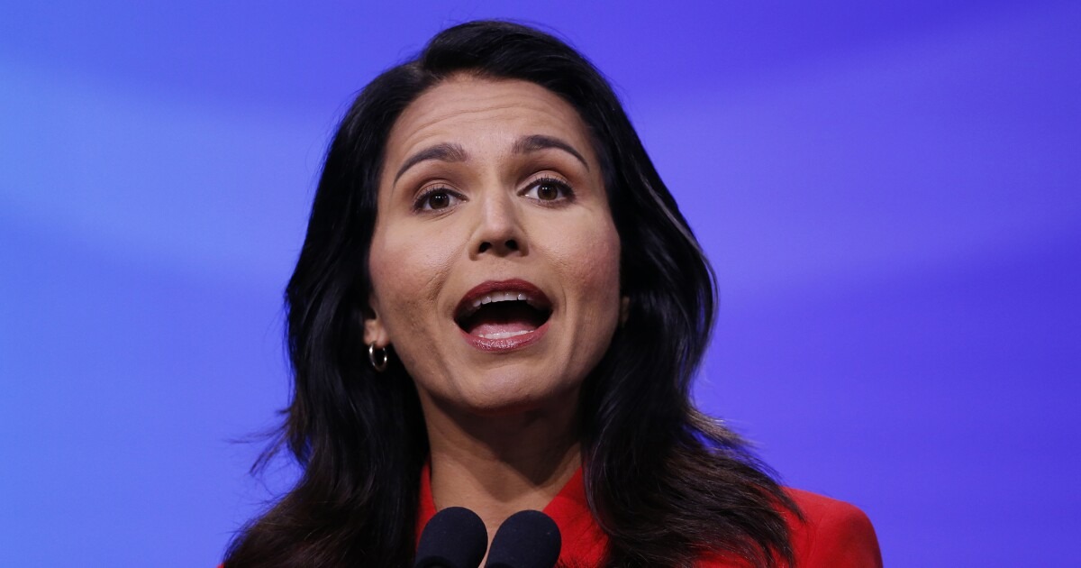 Tulsi Gabbard leaves Democratic Party, denounces ‘control of an elitist cabal of warmongers’