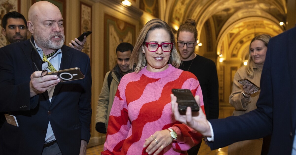 Sinema passed over for Appropriations after Democratic Party defection