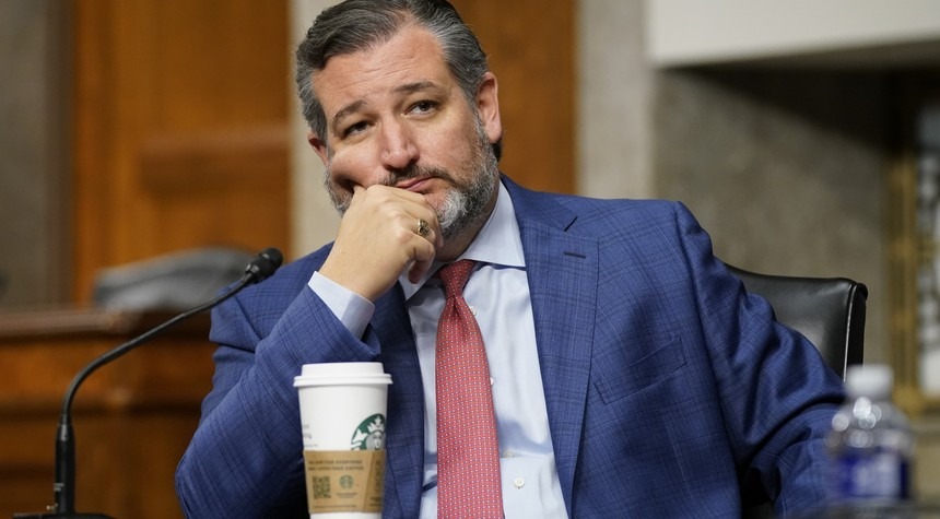 Sen. Cruz Puts ESG and DEI in the Crosshairs