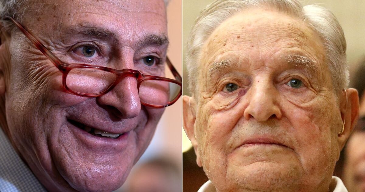 Soros and left-wing billionaires pump huge donations into Schumer PAC to hold Senate