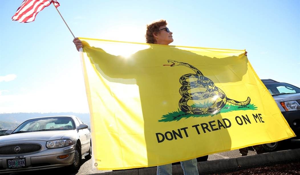 Colorado School Board Hands Victory to Child Sporting a Gadsden Flag on Backpack
