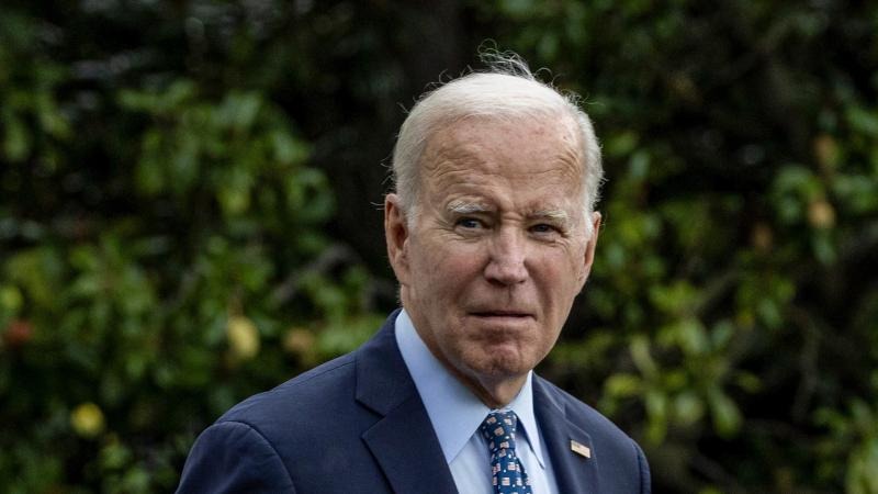 Feds thwarted probe into possible ‘criminal violations’ involving 2020 Biden campaign, agents say