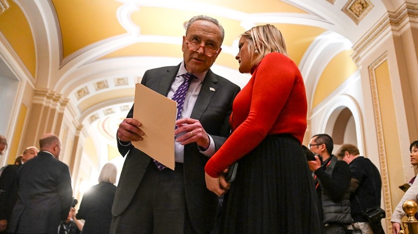 Schumer bedeviled by Democratic divisions over Israel, immigration