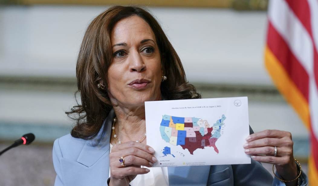 Here’s What Kamala Harris Plans to Do Leading Up to the 2024 Election