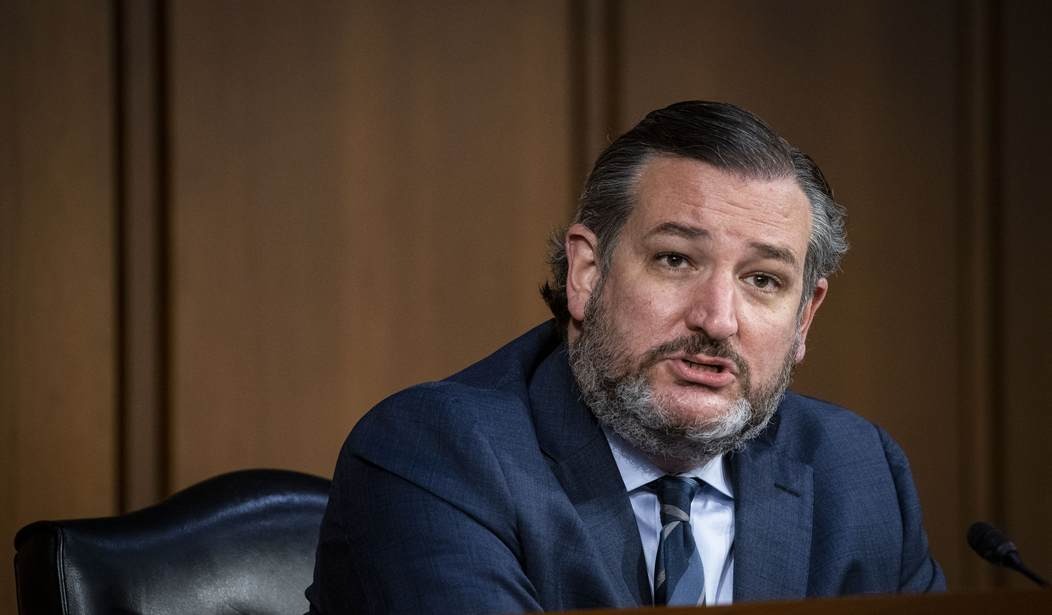 WATCH: Ted Cruz Backs House Impeachment of DHS Head Mayorkas for ‘Openly Defying Federal Law’