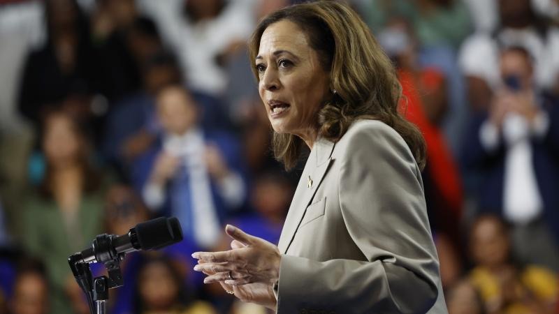 Pushback on VP Kamala Harris’s tax proposal plan grows as costs are counted