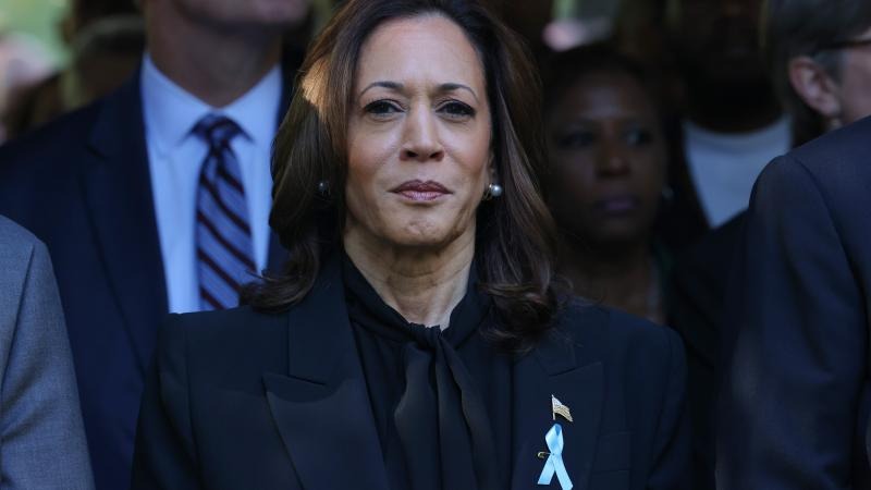 Harris’s Biden-esque ‘hiding in the basement’ campaign has Dems worried