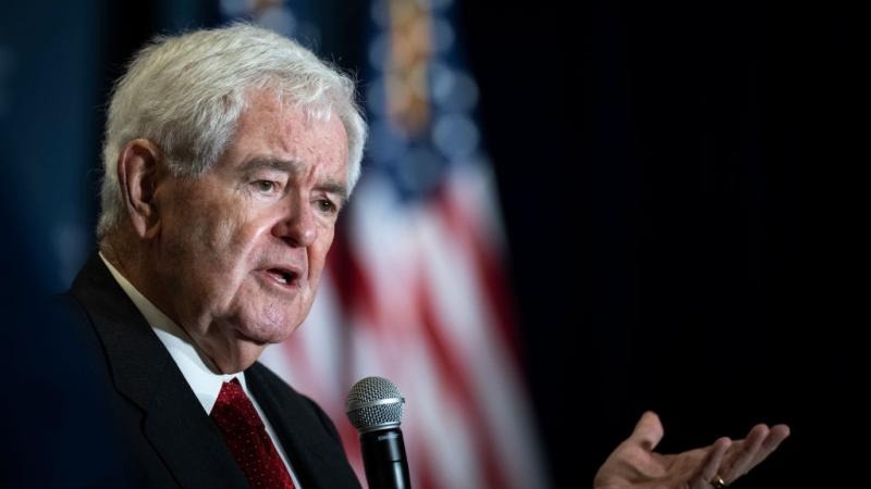 Trump has two years to push his biggest policies through and Republicans know it, Gingrich says