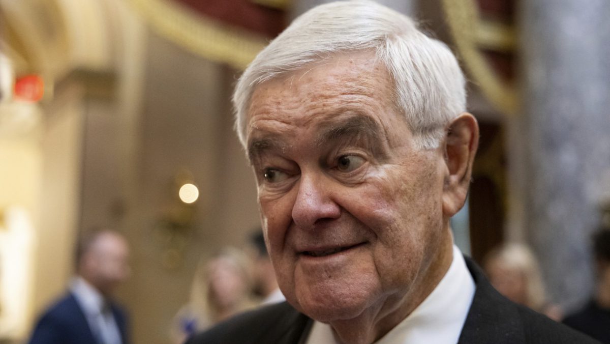 ‘I could never do his job’: Former Speaker Newt Gingrich shows support for Mike Johnson