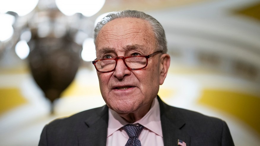 Who Can Replace Schumer?